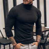 Silviu | Pulover Barbati cu Guler Helanca